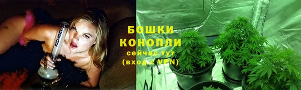 первитин Белоозёрский
