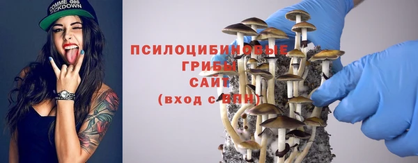 амф Белокуриха