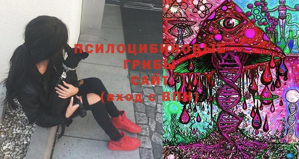 первитин Белоозёрский
