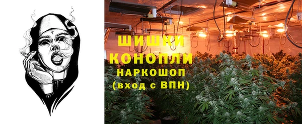 амф Белокуриха