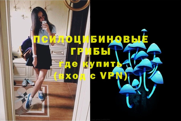 мяу мяу мука Беломорск