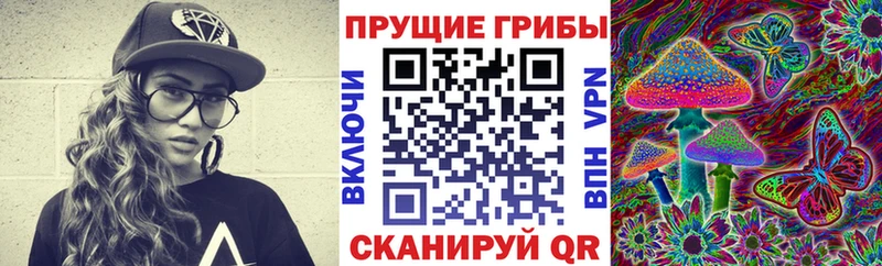 Псилоцибиновые грибы мухоморы  hydra онион  Чайковский 