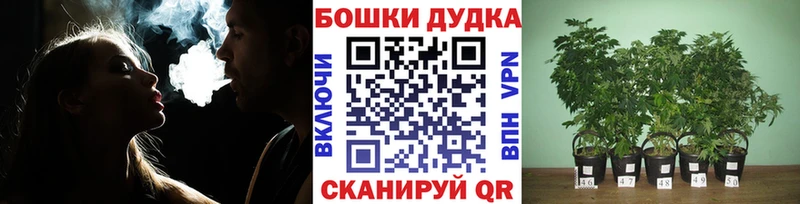 наркотики  Чайковский  Шишки марихуана гибрид 